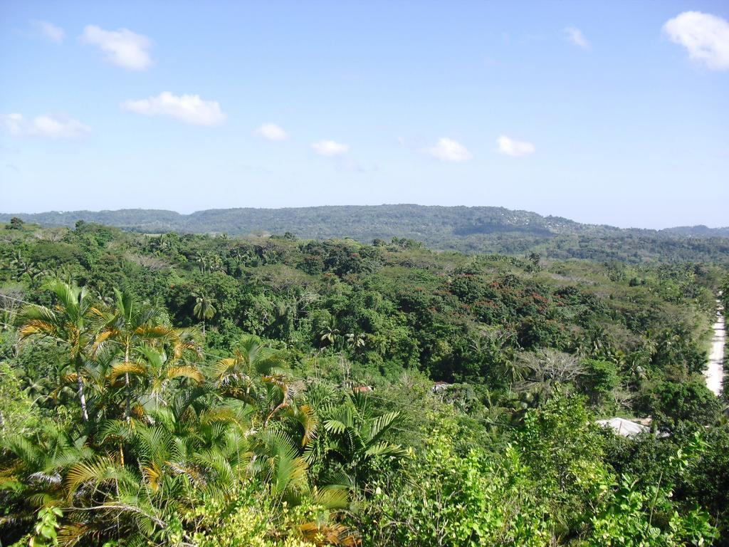 Tamarind Great House Hotel Oracabessa Exterior photo